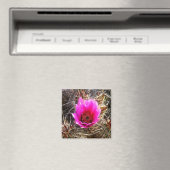 サボテンの花(とげのある梨)ワイルドフラワー マグネット (インサイチュ (食洗機))