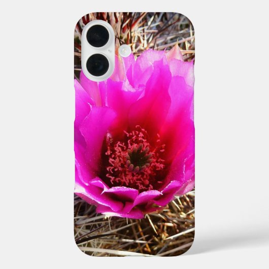 サボテンの花 (オプンティア) 荒野の花 Case-Mate iPhoneケース (裏面)