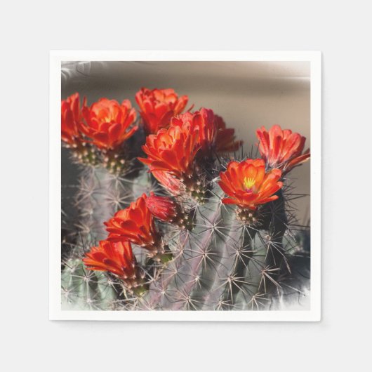 サボテンの花 スタンダードカクテルナプキン (正面)