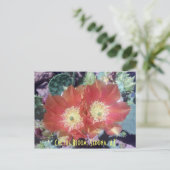 サボテンの花、セドナ、アリゾナ州 ポストカード (スタンド正面)