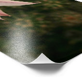 サボテンの花 フォトプリント            (角)