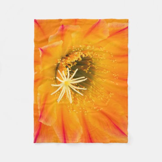 サボテンの花 フリースブランケット (正面)