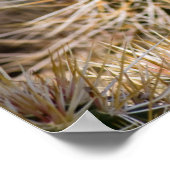 サボテンの花 ポスター (角)