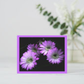 サボテンの花 ポストカード (スタンド正面)