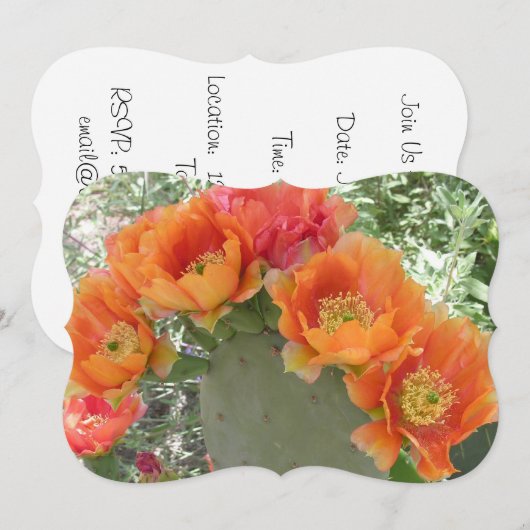 サボテンの花 招待状 (正面/裏面)