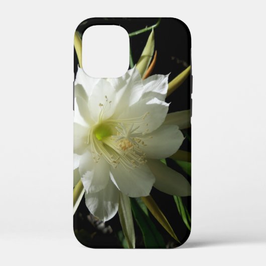 サボテンの花 Case-Mate iPhoneケース (裏面)