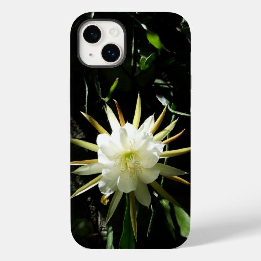 サボテンの花 Case-Mate iPhoneケース (裏面)