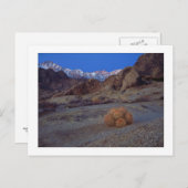 サボテンの見方 ポストカード (正面/裏面)