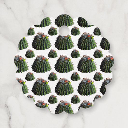 サボテンの贈り物/メッセージカード フェイバータグ (裏面)