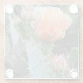 サボテンの開花淡い色のピンク砂漠の花の写真 ガラスコースター (裏面)