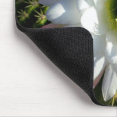 サボテンの開花 マウスパッド (コーナー)