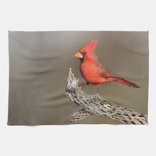 サボテンの骨に止まるショウジョウコウカンチョウ キッチンタオル (横)