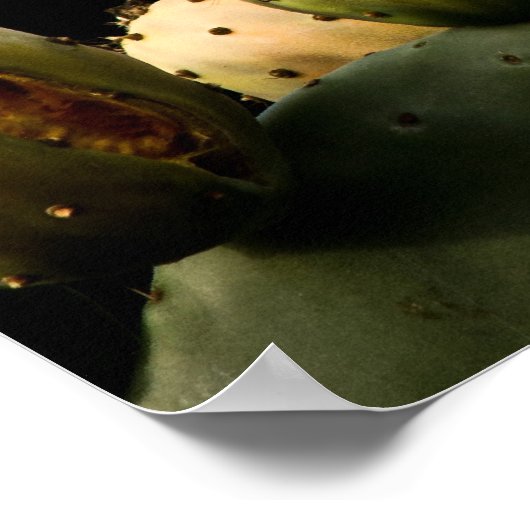 サボテンの鳥 ポスター (角)