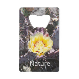 サボテンの黄色い花の春 クレジットカード栓抜き