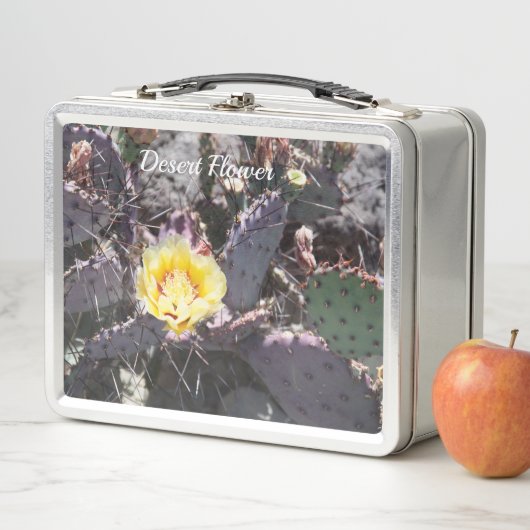 サボテンの黄色い花の春 メタルランチボックス (インサイチュ)