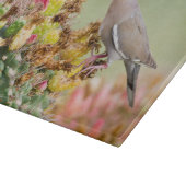 サボテンを食べる カッティングボード (角)