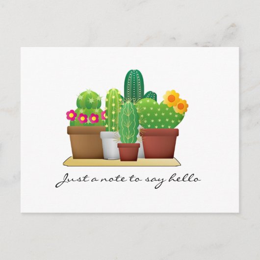 サボテンカラフルガーデン/ハローハガキ ポストカード (正面)