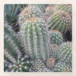 サボテンガラスコースター ガラスコースター