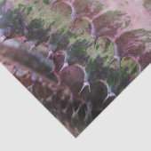 サボテンティッシュペーパー 薄葉紙 (詳細)