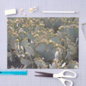 サボテンティッシュペーパー 薄葉紙 (クラフト)