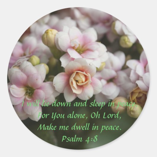 サボテンバラ ラウンドシール (正面)