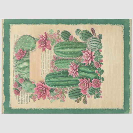 サボテンピンク花エフエマラコラージアートNo1 薄葉紙 (正面)