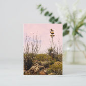 サボテンフラワーズニューメキシコ開花 ポストカード (スタンド正面)