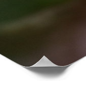 サボテンプリント 砂漠のサボテンの花| ポスター (角)