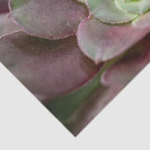 サボテンプリント 砂漠のサボテンの花| 薄葉紙 (詳細)