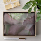 サボテンプリント 砂漠のサボテンの花| 薄葉紙 (ギフト)