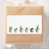 サボテンポット ラベル (インサイチュ)