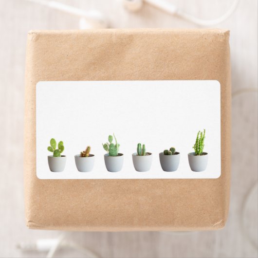 サボテンポット ラベル (インサイチュ)