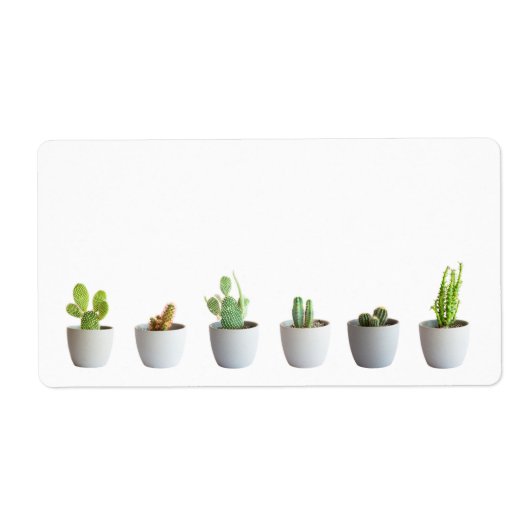 サボテンポット ラベル (正面)