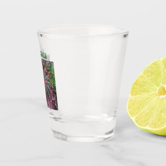 サボテン写真樽サボテン砂漠の植物南西 ショットグラス (右)