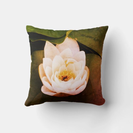 サボテン写真 クッション (裏面)