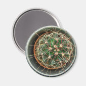 サボテン冷蔵庫 マグネット (正面/裏面)