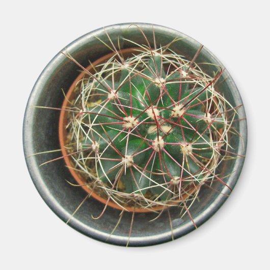 サボテン冷蔵庫 マグネット (正面)