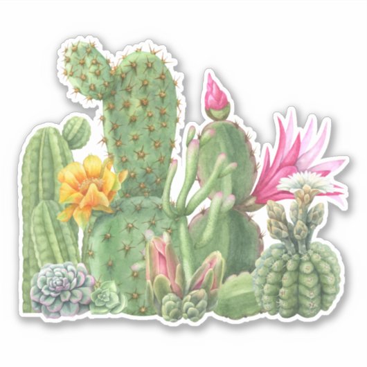 サボテン咲きガーデンの水の色の南西の砂漠 シール (正面)