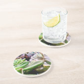 サボテン品種 コースター (側面)