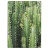 サボテン園 クリップボード (裏面)