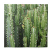 サボテン園 タイル (正面)