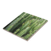 サボテン園 タイル (側面)