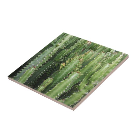 サボテン園 タイル (側面)