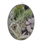 サボテン園 ダーツボード (正面左)