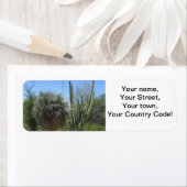 サボテン園 ラベル (インサイチュ)