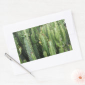 サボテン園 長方形シール (封筒)