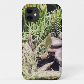 サボテン園 iPhone 11 ケース