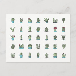 サボテン多肉植物手描き植物学 ポストカード