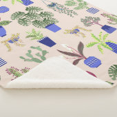 サボテン多肉植物 シェルパブランケット (3/4)