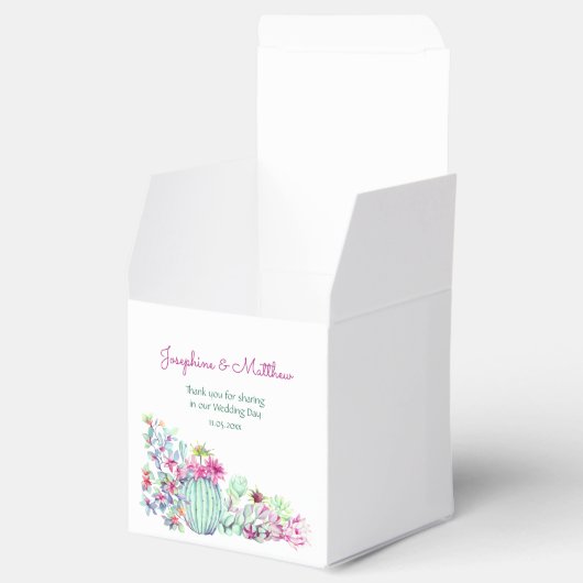 サボテン多肉種ストリングラ結婚イト フェイバーボックス (オープン)